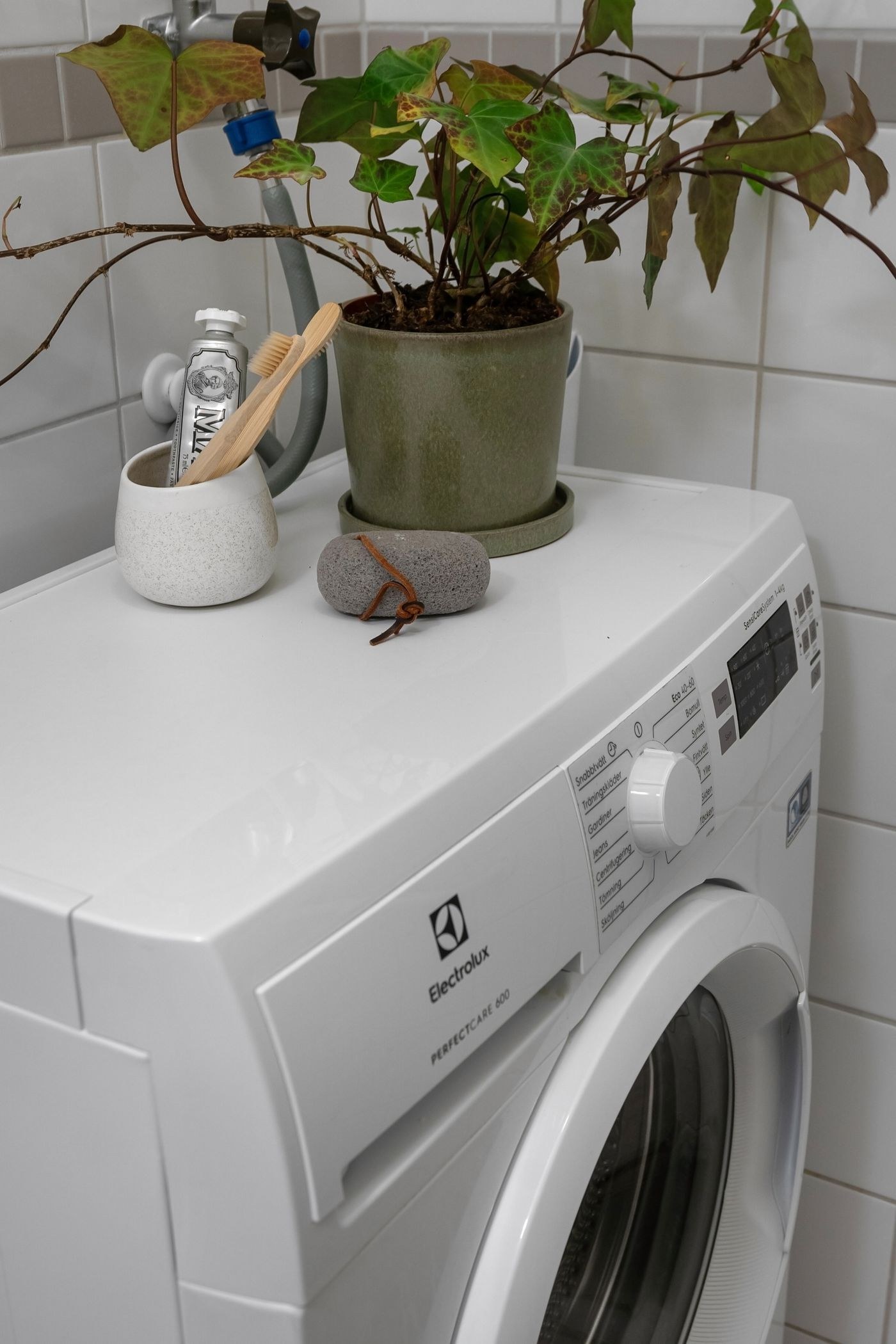 A washing machine and a plant in a laundry space