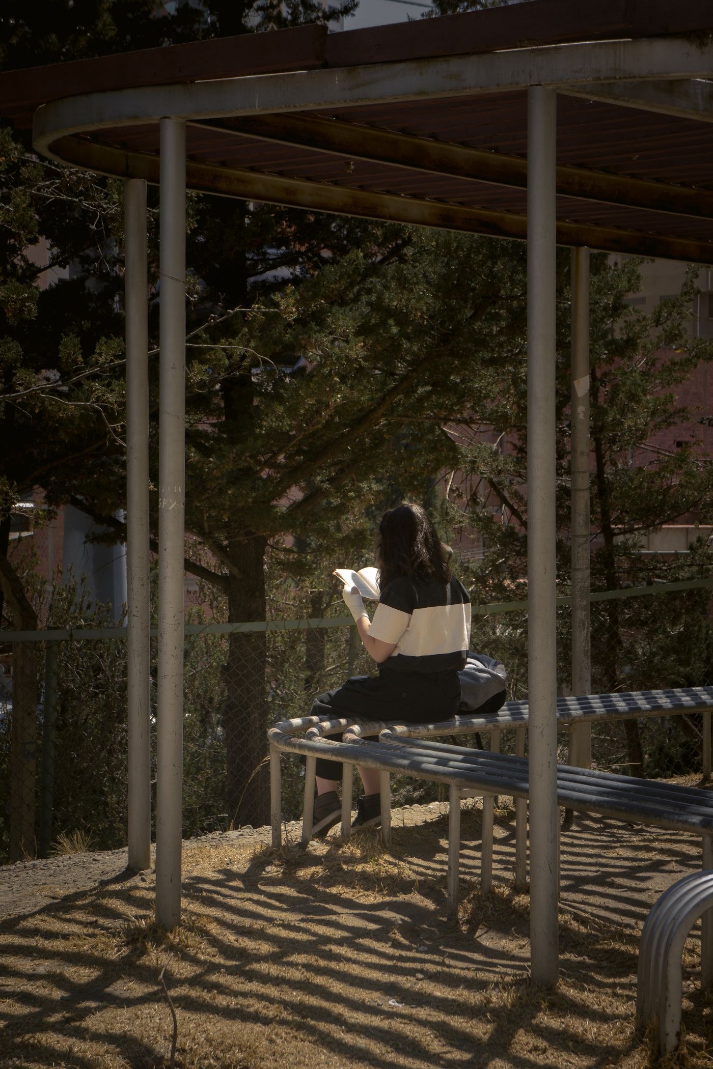 A woman reading a book on a park bench
